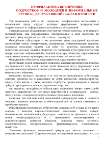 Профилактика деструктивных групп среди молодежи