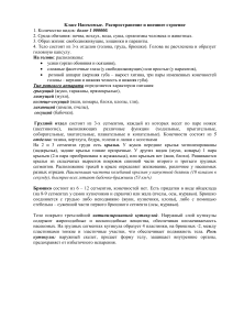 Класс Насекомые: Распространение и строение