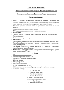 Класс Насекомые: Внешнее строение майского жука