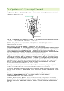 Генеративные органы растений: строение и размножение
