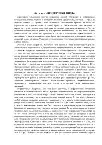 Биологические ритмы: Лекция по физиологии человека