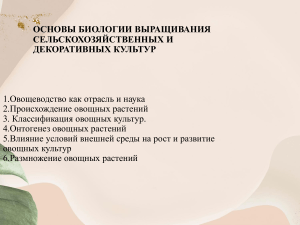 Основы биологии выращивания овощных культур