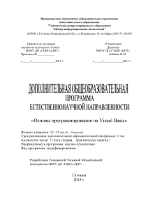 Основы программирования на Visual Basic: учебная программа