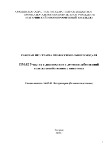 Рабочая программа по ветеринарии: диагностика и лечение