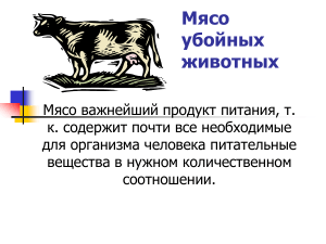 Мясо убойных животных: классификация, состав, применение