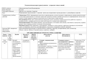 Урок биологии: Цветок и соцветия, 6 класс