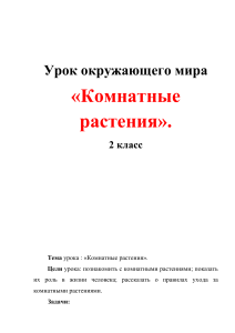 Комнатные растения: Урок окружающего мира, 2 класс