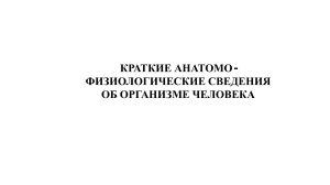 Анатомия и физиология человека: краткий обзор