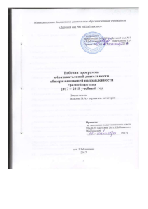 Рабочая программа средней группы детского сада