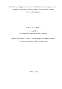 Экологические проблемы больших городов: проект по географии