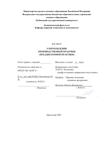 Отчет о производственной практике: Экономика, импортозамещение
