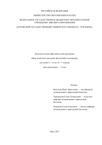 Мир комнатных растений: фитодизайн в интерьере
