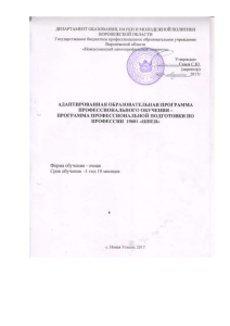 Адаптированная программа Швея для ОВЗ