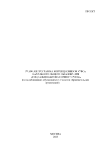 Социально-бытовая ориентировка: рабочая программа для слабовидящих