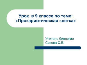Прокариотическая клетка: урок биологии в 9 классе