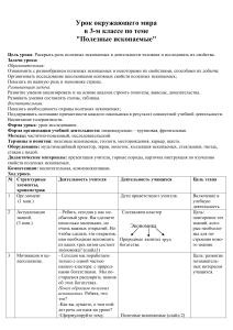Полезные ископаемые: план урока для 3 класса