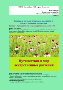 Беседа о лекарственных растениях для старших дошкольников