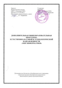 Рабочая программа кружка «Мир информатики»