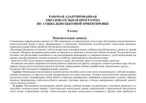 Рабочая программа СБО 8 класс: Социальная адаптация