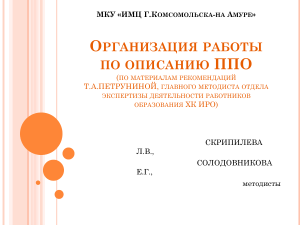 Организация работы по описанию ППО