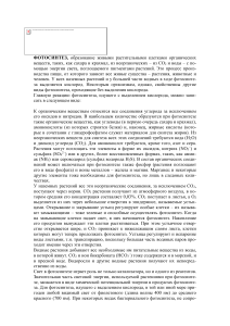 Фотосинтез: процессы, роль, значение