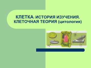 Клетка: история изучения и клеточная теория