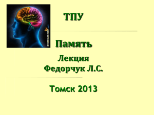 Память: виды, теории, закономерности запоминания