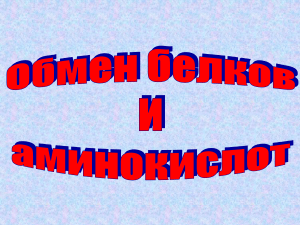 Лекция Метаболизм аминокислот. Образование и обезвреживание аммиака