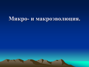 Микро- и макроэволюция: СТЭ, факторы, видообразование