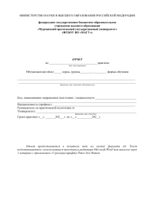 Шаблон отчета по практике МАГУ