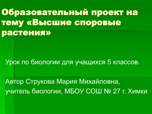 Высшие споровые растения: урок биологии 5 класс