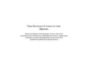 Урок биологии 6 класс: Цветок