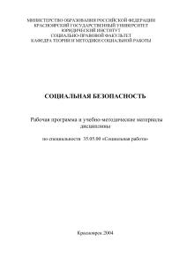 Социальная безопасность: Рабочая программа, 2004