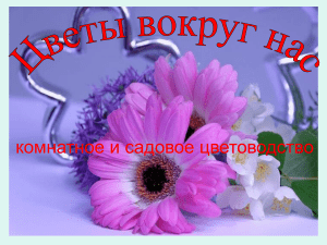 Обзор книг по комнатному и садовому цветоводству