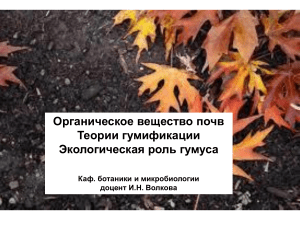 Органическое вещество почв: гумификация и роль гумуса