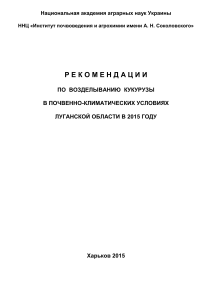 Выращивание кукурузы в Луганской области: Рекомендации 2015