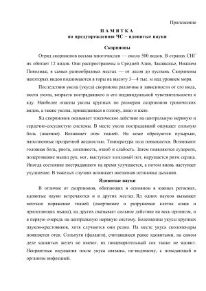 Ядовитые пауки и скорпионы: меры предосторожности