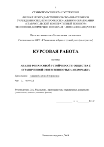 Анализ финансовой устойчивости Курсовая работа