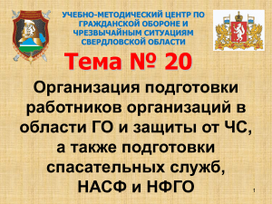 Подготовка в области ГО и защиты от ЧС: организация и планирование