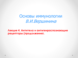 Иммунология: Антитела и антигенраспознающие рецепторы