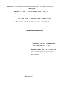 Отчет по практике Ртищевой Ольги