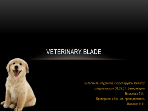 Презентация Microsoft PowerPoint
