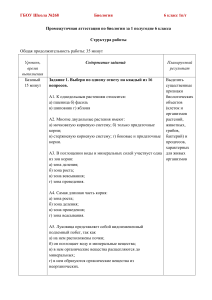 Контрольная работа по биологии 6 класс