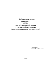 Рабочая программа ИЗО 5 класс (умственная отсталость)