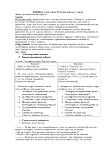 Кольчатые черви: строение дождевого червя - план урока