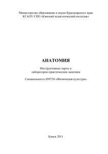 Анатомия: Инструктивные карты к лабораторным занятиям