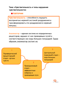 Чувствительность и нарушения: Лекция по неврологии