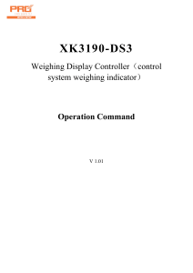 xk3190ds3