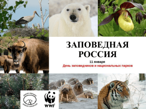 Заповедная Россия: День заповедников и национальных парков