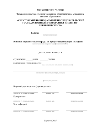 Образовательная среда и социализация молодежи: Дипломная работа